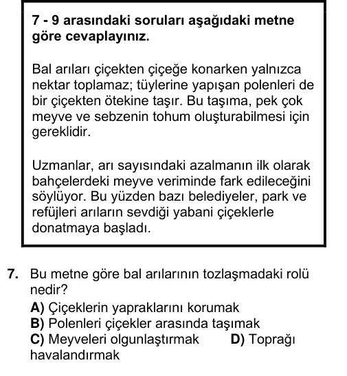 Word çıktısı: çerçeveli kutuda yönerge ve okuma parçası, altında bağlı sorular