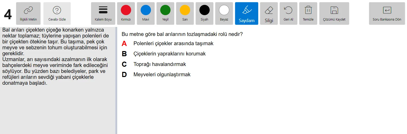 Sunum kipi: solda okuma parçası, sağda soru ve kırmızıyla işaretlenmiş doğru cevap